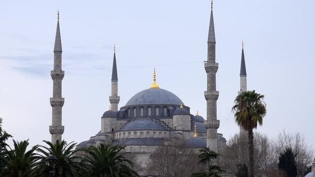 Real time of famous Blue Mosque located in Istanbul placed among palm trees against overcast sky during daytime