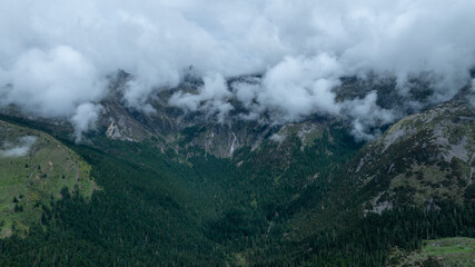 Fototapeta na wymiar Beautiful high altitude forest mountain landscape in the fog