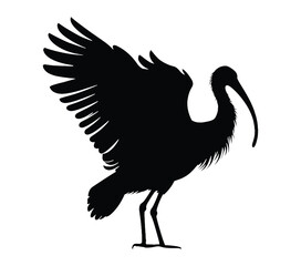 Black and White African Sacred Ibis Silhouette. Vector Illustration.