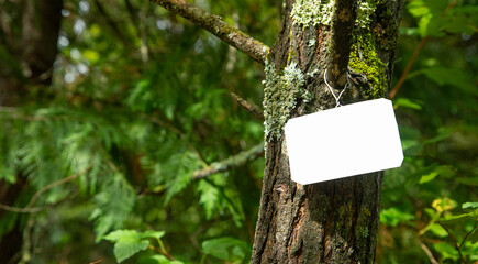 Empty sign for advertising on a tree.