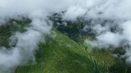 Beautiful high altitude forest mountain landscape in the fog