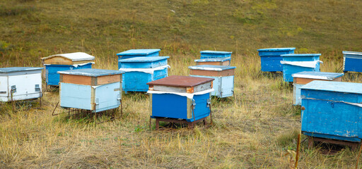 Many beehives at the nature.