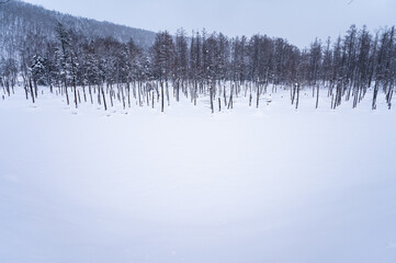 北海道美瑛雪が積もった青い池