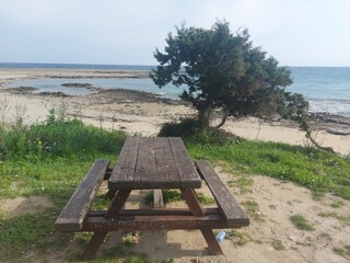 bench on the shore