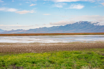Antelope Island State Park, Largest Island in the Great Salt Lake