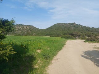 path in the mountains