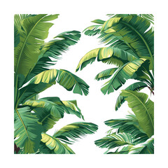 palm tree leaves against isolated on transparent background