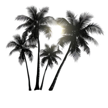 beach palm trees isolated on transparent background