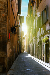 Narrow street Florence - 750438005