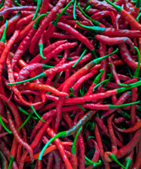 A full-frame shot of red chili peppers from the produce of the garden.