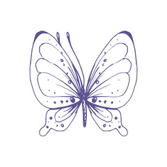 Delicate butterfly with patterns on the wings, simple, sweet, light, romantic. Illustration graphically hand-drawn in lilac ink in line style. Isolated EPS vector object
