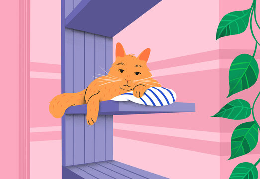 Ginger cat resting on shelf at home