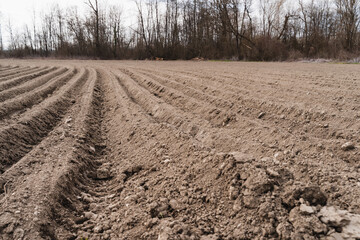 Agricultural field before planting at spring. Rows of soil prepared for planting crops.