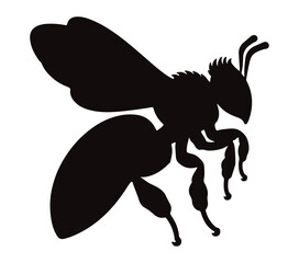 Africanized Honey Bee. Vector image. White background.