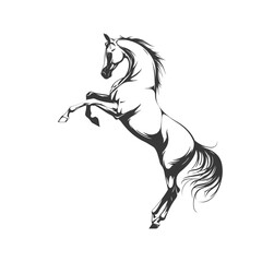 Vector illustration of a horse breaking up on its hind legs