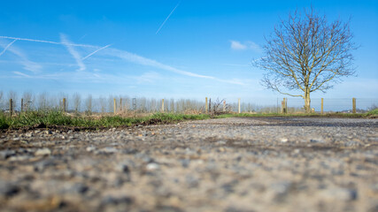 This image captures a clear blue sky with the streaks of contrails above a rural landscape. A lone...