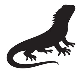Vector graphic of Agama Lizard.