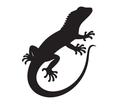 Agama Lizard silhouette icon. Vector image.