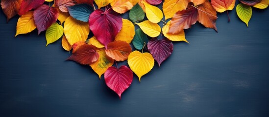 Vibrant Heart Shape Created with Colorful Autumn Leaves in a Unique Nature Artwork