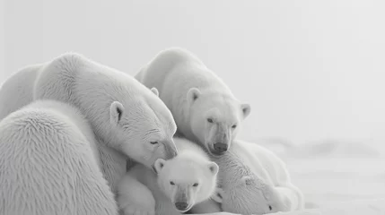 Zelfklevend Fotobehang A family of polar bears in a close huddle, their white fur blending seamlessly with a pure white environment. © Arisha