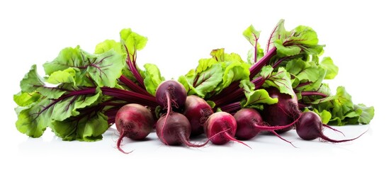 Vibrant Beetroot Isolated on White Background - Fresh Organic Ingredient for Healthy Cooking