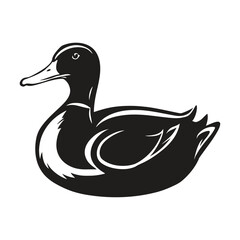 black duck. Vector cartoon duck.