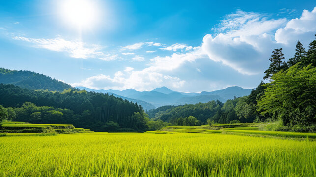 Serene landscape of a lush green rice field with mountains and forest under a clear blue sky
