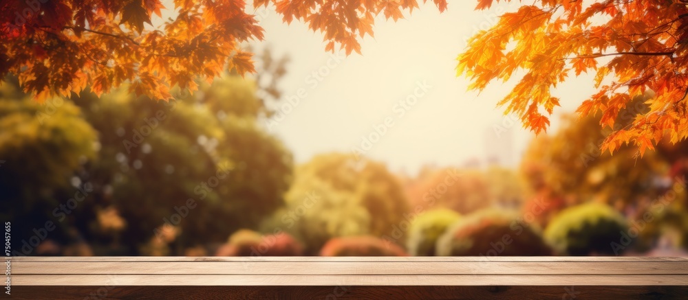 Aufkleber rustic wooden table with autumnal blurred background ideal for product displays