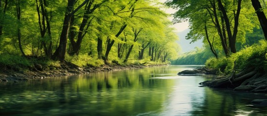 Fototapeta na wymiar Tranquil River Flowing Through Lush Green Spring Forest with Scattered Trees