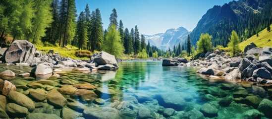 Crystal Clear Altai Mountain River Flows Turquoise Stream in Serene Panoramic Scenery
