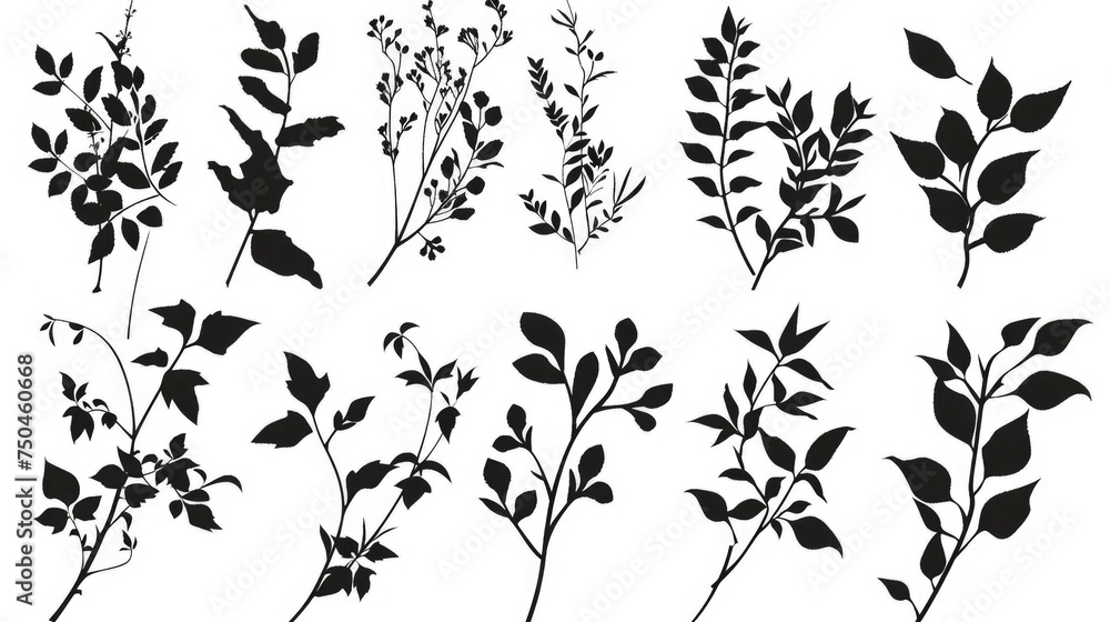 Poster collection of black and white leaf shapes. suitable for various design projects
