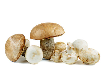 Heap of mushroom champignon and cep boletus on white background. Isolated