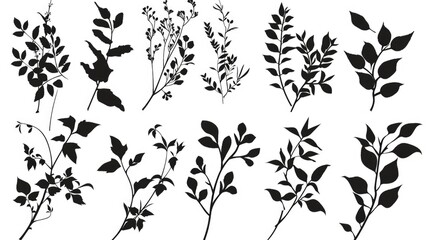Collection of black and white leaf shapes. Suitable for various design projects