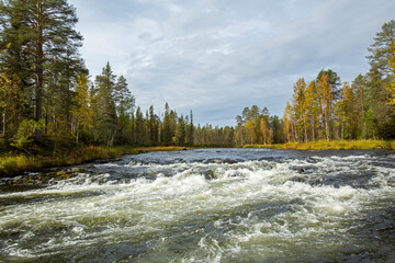 Beautiful autumnal river landscape of Kitkajoki (Kitka river) in Northern Finland - obrazy, fototapety, plakaty