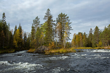 Beautiful river landscape of Kitkajoki (Kitka river)  during autumn foliage in Northern Finland, Europe - obrazy, fototapety, plakaty