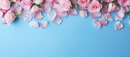 Elegant Pink Roses and White Orchids Arrangement on a Serene Blue Background