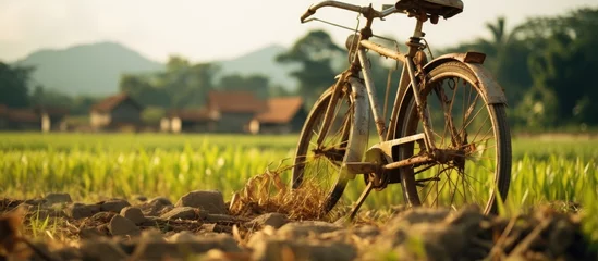 Türaufkleber Rustic Vintage Bicycle Resting in Tranquil Rice Field Surrounded by Nature © HN Works