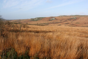 Les Monts d'Arr&eacute;e (Bretagne, Finist&egrave;re, France)