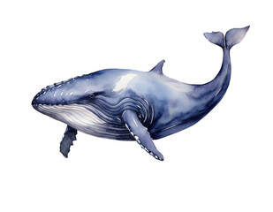 Blue whale, sea life, ocean, watercolor illustration isolated on white background