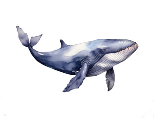 Blue whale, watercolor illustration isolated on white background