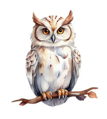 Polar owl sitting on a branch isolated on white background, watercolor illustration
