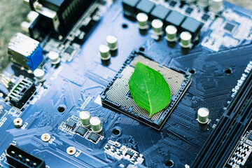 Green leaves inside a computer circuit board green technology and environmental technology Nature combined with digital technology.