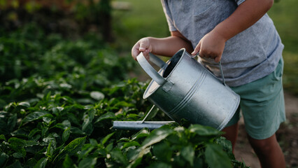 Boy watering raised garden bed, holding metal watering can. Caring for vegetable garden and growing, planting spring vegetables. © Halfpoint