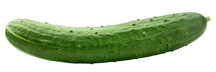 Cucumber isolated on white background, full depth of field