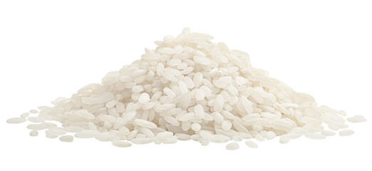 Rice isolated on white background, full depth of field