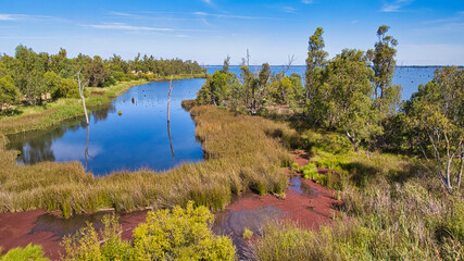 Kyffins Reserve's natural beauty reflected in Lake Mulwala