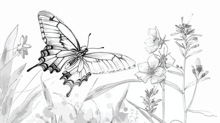 Butterfly and flower isolated hand drawn black and white