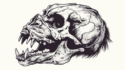 Cat predator skull. Dead animal engraving hand drawing