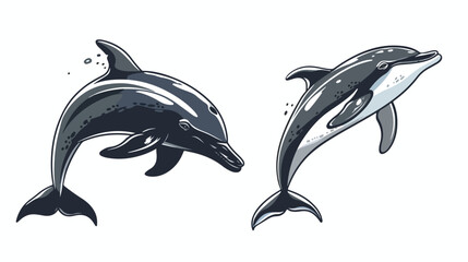 Dolphin Vector illustration on a white background. 