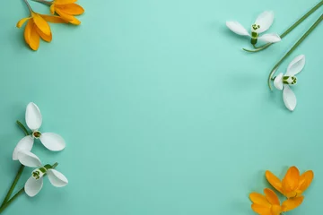 Foto op Aluminium Frame of yellow saffron crocus and white snowdrops  on alight green  background with space for text. Spring flowers. Top view, flat lay © Photo